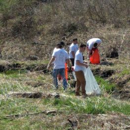 Stream Cleanup volunteers