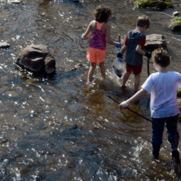 The Annual Stream Cleanup is a great activity for young families.