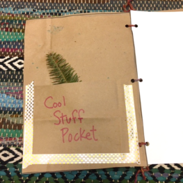 Nature Journaling Supplies: What You Need in Your Bag Now - Joanna