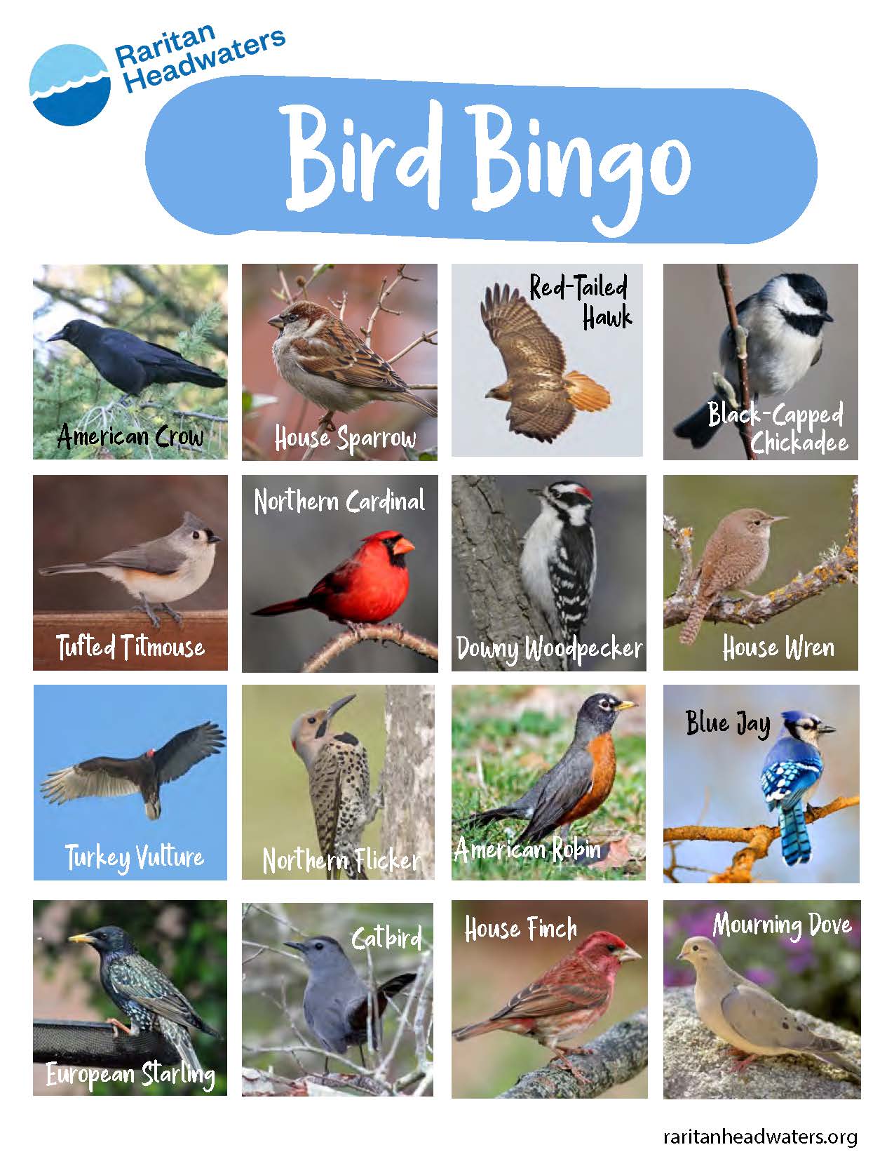 Backyard Bird Bingo! Raritan Headwaters
