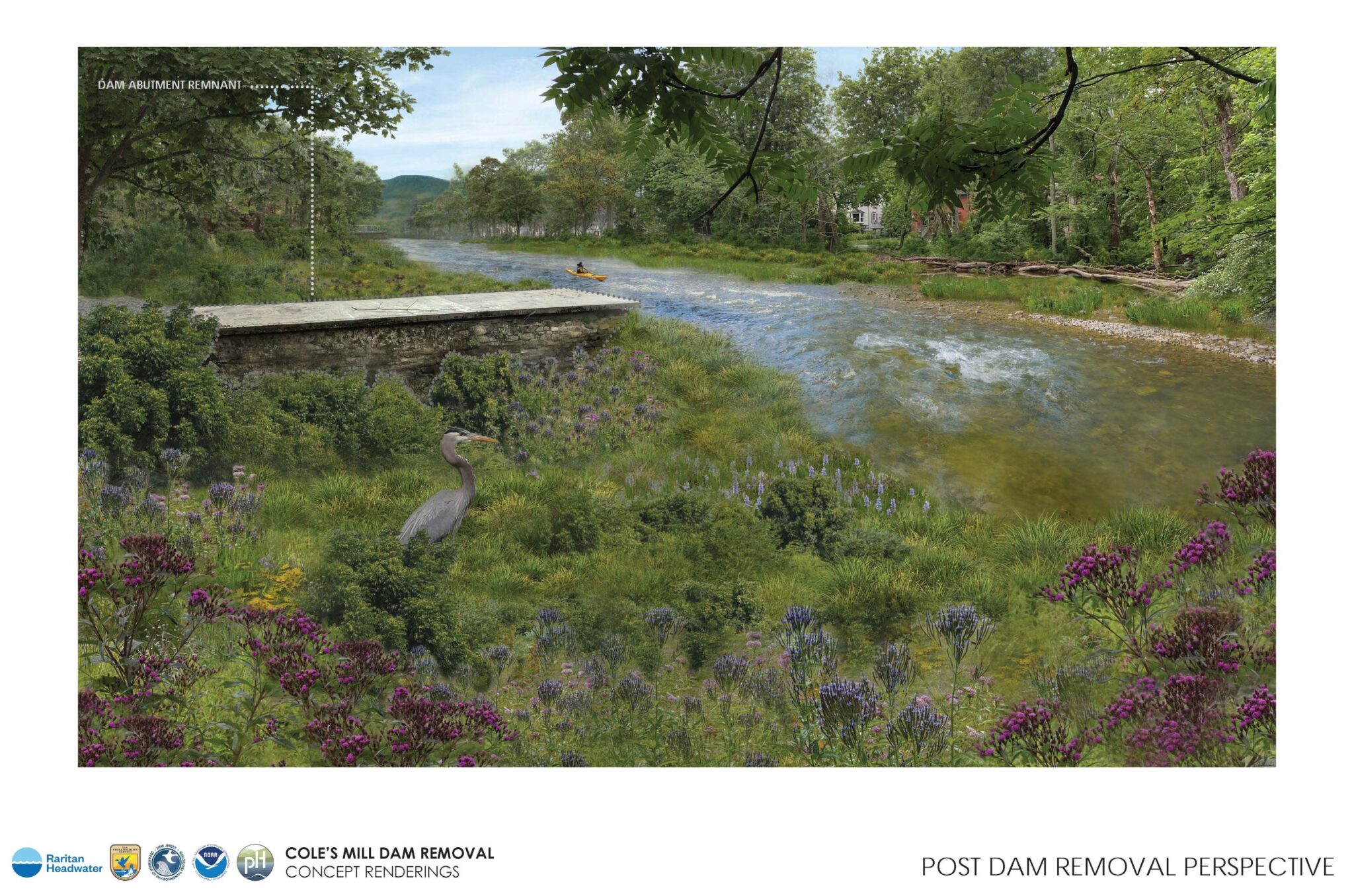 South Branch River Restoration Project - Raritan Headwaters